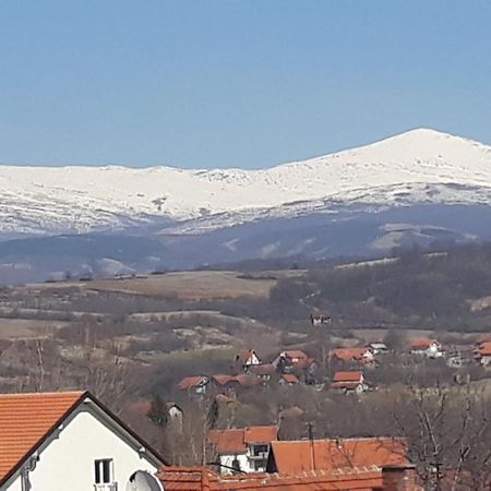 Apartman "Vienna" Сокобаня Екстер'єр фото