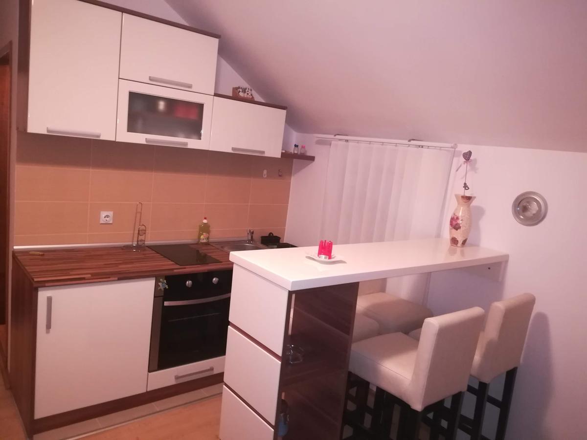 Apartman "Vienna" Сокобаня Екстер'єр фото