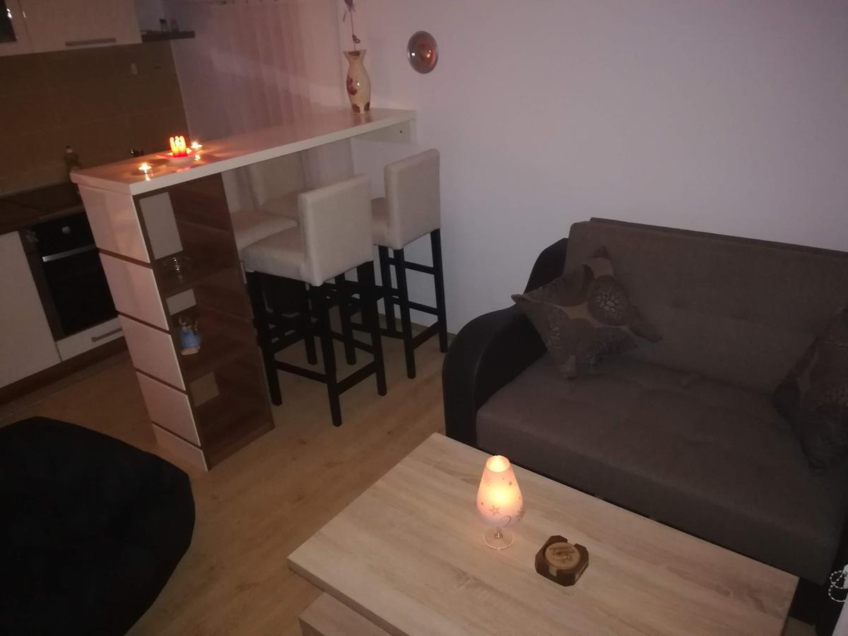 Apartman "Vienna" Сокобаня Екстер'єр фото
